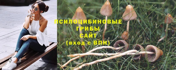 spice Дубна