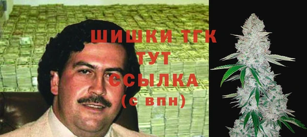 spice Дубна