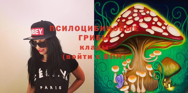 spice Дубна